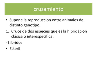 cruzamientoSupone la reproduccion entre animales de distinto genotipo.Cruce de dos especies que es la hibridación clásica o interespecífica .- hibrido:Esteril