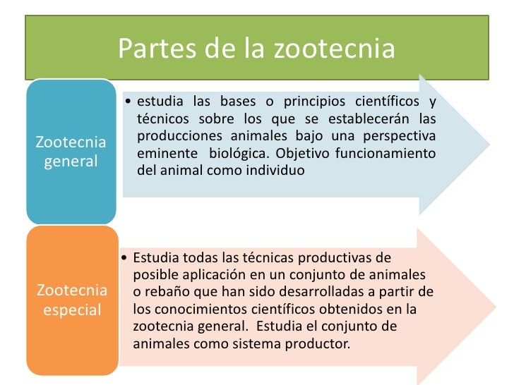 Zootecnia, clase 1