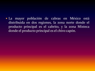  La mayor población de cabras en México está
distribuida en dos regiones, la zona norte donde el
producto principal es el cabrito, y la zona Mixteca
donde el producto principal es el chivo capón.
 