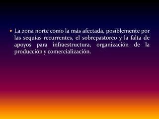  La zona norte como la más afectada, posiblemente por
las sequías recurrentes, el sobrepastoreo y la falta de
apoyos para infraestructura, organización de la
producción y comercialización.
 
