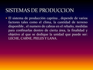  El sistema de producción caprina , depende de varios
factores tales como el clima, la cantidad de terreno
disponible , el numero de cabras en el rebaño, medidas
para confinarlas dentro de cierta área, la finalidad y
objetivo al que se dedique la unidad que puede ser:
LECHE, CARNE, PIELES Y LANA.
 