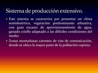  Este sistema se caracteriza por presentar un clima
semidesértico, vegetación predominante arbustiva,
con gran escasez de aprovisionamiento de agua,
ganado criollo adaptado a las difíciles condiciones del
medio.
 Zonas montañosas carentes de vías de comunicación,
donde se ubica la mayor parte de la población caprina.
 