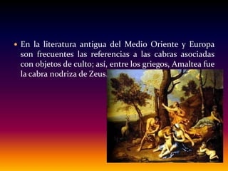  En la literatura antigua del Medio Oriente y Europa
son frecuentes las referencias a las cabras asociadas
con objetos de culto; así, entre los griegos, Amaltea fue
la cabra nodriza de Zeus.
 