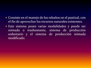  Consiste en el manejo de los rebaños en el pastizal, con
el fin de aprovechar los recursos naturales existentes.
 Este sistema posee varias modalidades y puede ser
nómada o trashumante, sistema de producción
sedentario y el sistema de producción nómada
modificado.
 
