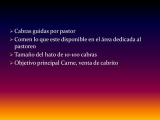  Cabras guidas por pastor
 Comen lo que este disponible en el área dedicada al
pastoreo
 Tamaño del hato de 10-100 cabras
 Objetivo principal Carne, venta de cabrito
 