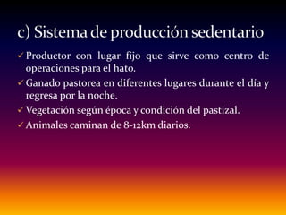  Productor con lugar fijo que sirve como centro de
operaciones para el hato.
 Ganado pastorea en diferentes lugares durante el día y
regresa por la noche.
 Vegetación según época y condición del pastizal.
 Animales caminan de 8-12km diarios.
 