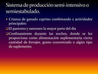  Crianza de ganado caprino combinando 2 actividades
principales:
El pastoreo y ramoneo la mayor parte del día
Confinamiento durante las noches, donde se les
proporciona como alimentación suplementaria cierta
cantidad de forrajes, grano concentrado o algún tipo
de suplemento.
 