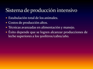  Estabulación total de los animales.
 Costos de producción altos.
 Técnicas avanzadas en alimentación y manejo.
 Éxito depende que se logren alcanzar producciones de
leche superiores a los 500litros/cabra/año.
 