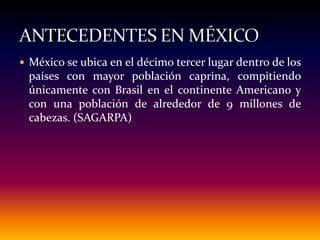  México se ubica en el décimo tercer lugar dentro de los
países con mayor población caprina, compitiendo
únicamente con Brasil en el continente Americano y
con una población de alrededor de 9 millones de
cabezas. (SAGARPA)
 