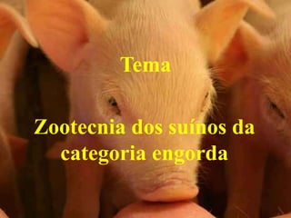 Tema
Zootecnia dos suínos da
categoria engorda
 