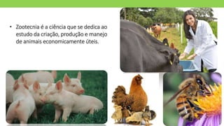 Zootecnia nas escolas: O que faz um Zootecnista? | PPTX