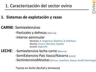 1. Caracterización del sector ovino
1. Sistemas de explotación y razas
CARNE: Semiextensivo
-Pastizales y dehesas (Merina)
-Interior peninsular
Noroeste: R. Aragonesa, Ripollesa, R. bilbilitana
Meseta: Churra, Manchea, Ojalada
Sureste: Segureña
LECHE: -Semiextensivo leche-carne (Merina)
-SemiExtensivo Pais Vasco/Navarra (Latxa)
-SemintensivoMesetas (Churra, Castellana, Awassi, Assaff, Manchega)
*carne en leche (lechal y ternasco)
 
