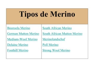 Tipos de Merino
Booroola Merino
German Mutton Merino
Medium-Wool Merino
Delaine Merino
Fonthill Merino
South African Merino
South African Mutton Merino
Merinolandschaf
Poll Merino
Strong Wool Merino
 