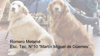 Romero Melanié 
Esc. Tec. N°10 “Martín Miguel de Güemes” 
