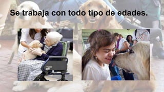 Se trabaja con todo tipo de edades.