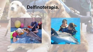 Delfinoterapia.