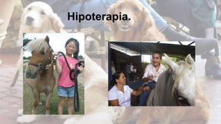 Hipoterapia. 
 