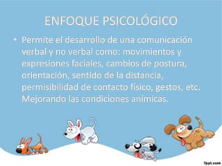 ENFOQUE PSICOLÓGICO
• Permite el desarrollo de una comunicación
  verbal y no verbal como: movimientos y
  expresiones faciales, cambios de postura,
  orientación, sentido de la distancia,
  permisibilidad de contacto físico, gestos, etc.
  Mejorando las condiciones anímicas.
 