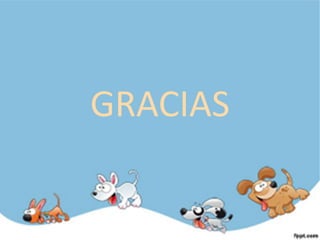 GRACIAS
 