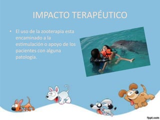 IMPACTO TERAPÉUTICO
• El uso de la zooterapia esta
  encaminado a la
  estimulación o apoyo de los
  pacientes con alguna
  patología.
 