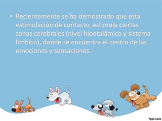 • Recientemente se ha demostrado que esta
  estimulación de contacto, estimula ciertas
  zonas cerebrales (nivel hipotalámico y sistema
  límbico), donde se encuentra el centro de las
  emociones y sensaciones.
 