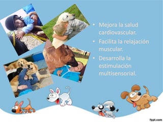 • Mejora la salud
  cardiovascular.
• Facilita la relajación
  muscular.
• Desarrolla la
  estimulación
  multisensorial.
 