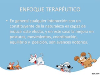 ENFOQUE TERAPÉUTICO
• En general cualquier interacción con un
  constituyente de la naturaleza es capaz de
  inducir este efecto, y en este caso la mejora en
  posturas, movimientos, coordinación,
  equilibrio y posición, son avances notorios.
 