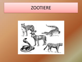ZOOTIERE 