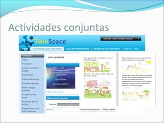 Actividades conjuntas

 