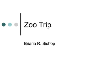 Zoo Trip Briana R. Bishop 
