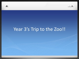 Year 3’s Trip to the Zoo!!
 