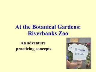 At the Botanical Gardens: Riverbanks Zoo An adventure  practicing concepts 