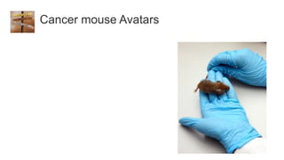 Cancer mouse Avatars
 