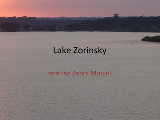 Lake Zorinsky and the Zebra Mussel 
