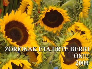 ZORIONAK ETA URTE BERRI ON!!! 2009 