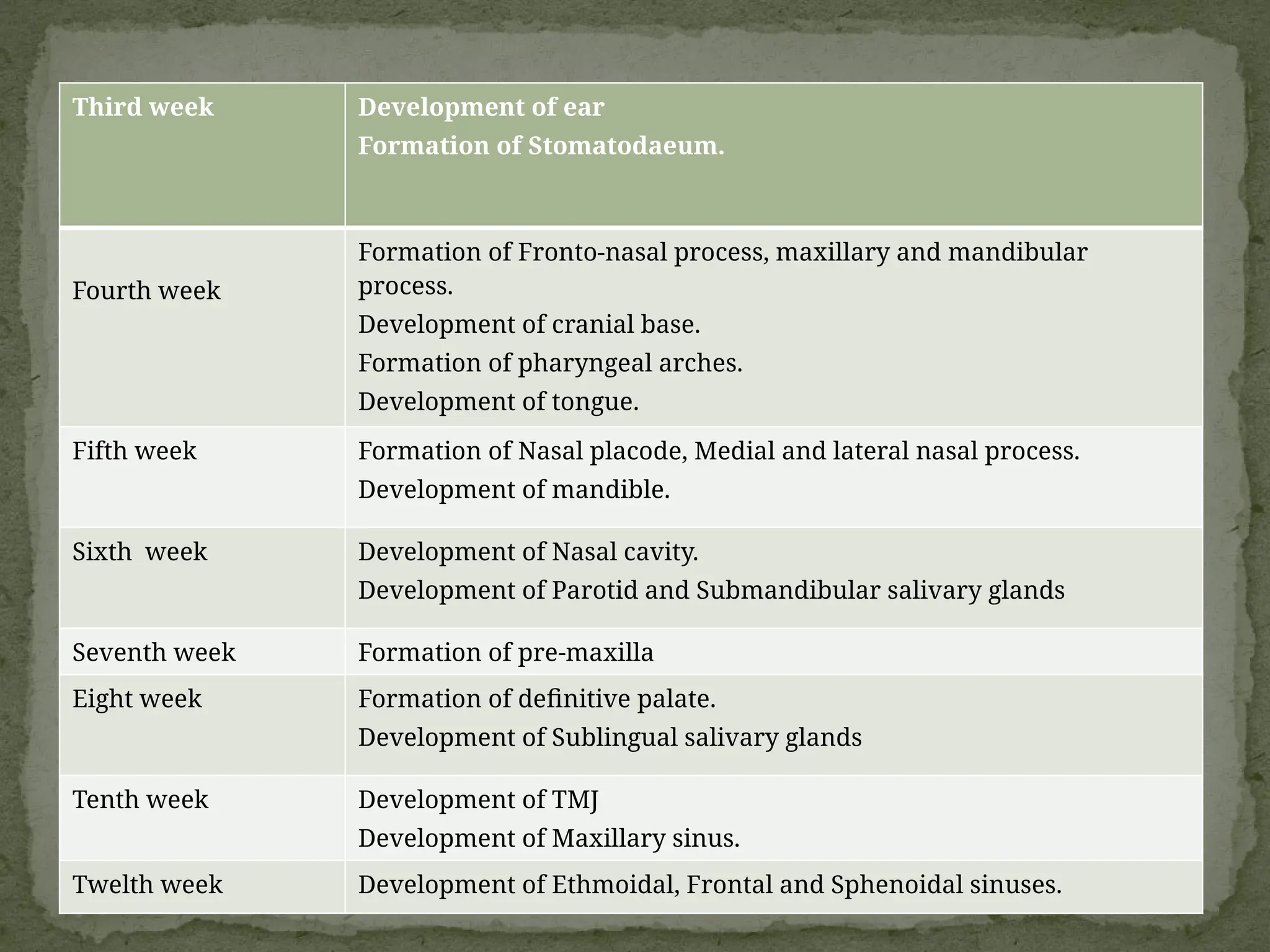 Third week Development of ear
Formation of Stomatodaeum.
Fourth week
Formation of Fronto-nasal process, maxillary and mandibular
process.
Development of cranial base.
Formation of pharyngeal arches.
Development of tongue.
Fifth week Formation of Nasal placode, Medial and lateral nasal process.
Development of mandible.
Sixth week Development of Nasal cavity.
Development of Parotid and Submandibular salivary glands
Seventh week Formation of pre-maxilla
Eight week Formation of definitive palate.
Development of Sublingual salivary glands
Tenth week Development of TMJ
Development of Maxillary sinus.
Twelth week Development of Ethmoidal, Frontal and Sphenoidal sinuses.
 