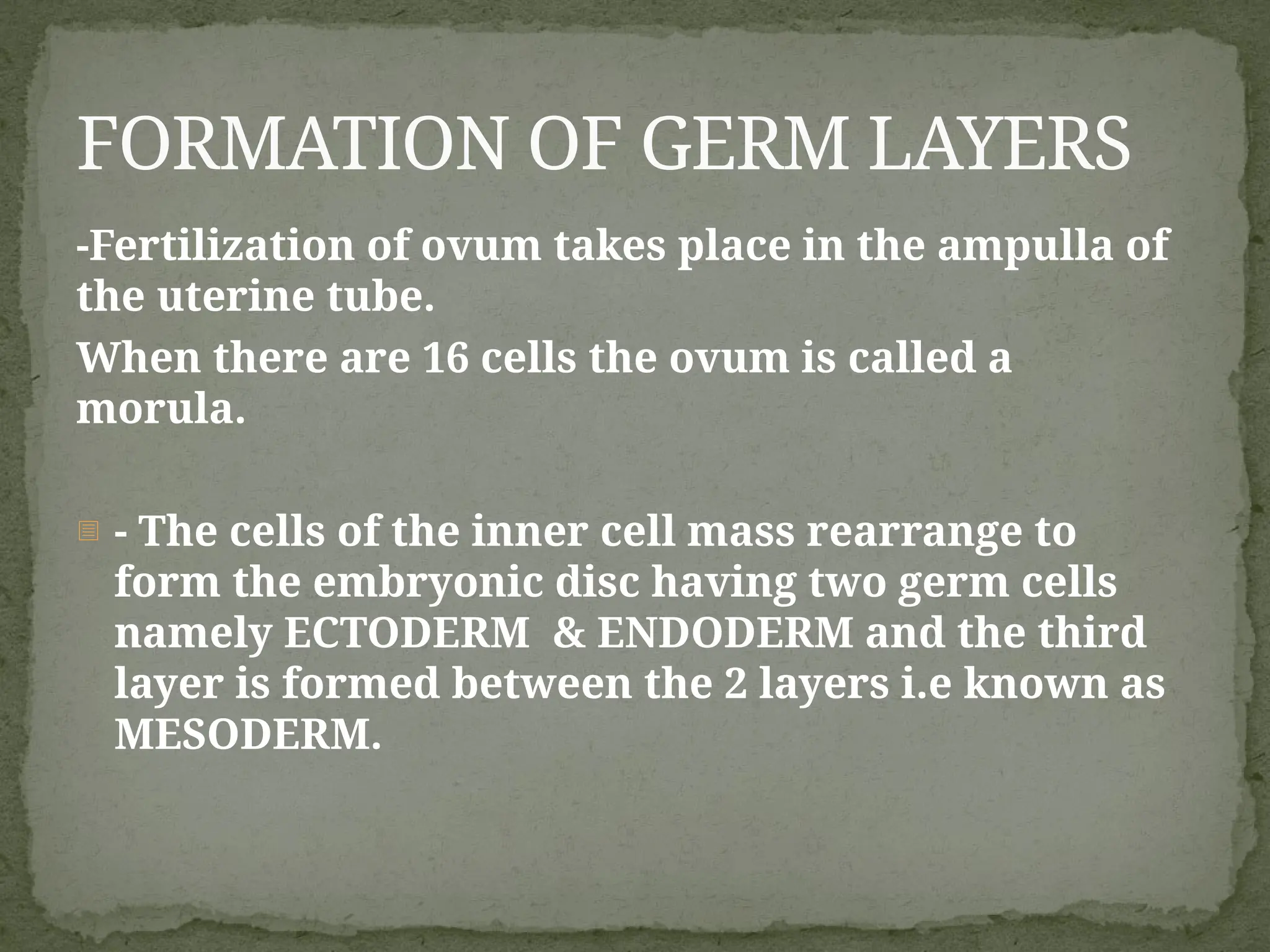 -Fertilization of ovum takes place in the ampulla of
the uterine tube.
When there are 16 cells the ovum is called a
morula.
- - The cells of the inner cell mass rearrange to
form the embryonic disc having two germ cells
namely ECTODERM & ENDODERM and the third
layer is formed between the 2 layers i.e known as
MESODERM.
FORMATION OF GERM LAYERS
 