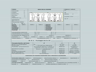 FORMA: SEDE DELLA LESIONE ESAMI DI I° LIVELLO:
IRREGOLARE □
STAMPO □
MANICOTTO □
MULTIPLA □
UNICA □
DIMENSIONI cmq ………………
PROFONDITA’:
cm …………………………………
ESPOSIZIONE OSSEA:
SI □ NO □
P.A. ………………………………
ABI ………………………………
NON RIL. □
GLICEMIA STICH ………………
mg / dl ……………………………..
DESTRA ZONA 1 ZONA 2 ZONA 3 SINISTRA ZONA 1 ZONA 2 ZONA 3
MEDIALE MEDIALE
LATERALE LATERALE
POSTERIORE POSTERIORE
ANTERIORE ANTERIORE
PLANTARE PLANTARE
CIRCONFERENZA GINOCCHIO DX □ cm ……………………. SX □ cm ………………………..
CIRCONFERENZA ALLA CAVIGLIA DX □ cm …………………….. SX □ cm …………………………
ALTERAZIONE DEL TERMOTATTO SI □ CALDO □ FREDDO □
DISCROMIA □ XEROSI □ ECZEMA □ VARICI □ TELECTASIE □ CORONA FLEBO STATICA □
ATROFIA BIANCA □ EDEMA □ DEFORMAZIONI PIEDE □ DEF. DITA □ IMMOBILITA’ CAVIGLIA □
W. B. S. Punteggio da 0 a 16 _____________
Caratteristiche del letto 0 1 2
Bordi in via di guarigione No 25-75% >75%
Escara Nera > 25% dell’area della ferita 0-25% Assente
Profondità / ipergranulazione Severamente depresso o rialzato se
comparato con la cute circostante
Moderato Pareggiato o
quasi pari
Quantità di essudato Severo □ maleodorante □ Moderato Lieve o assente
Edema Severo Moderato Lieve o assente
Dermatite perilesionale Severo Moderato Minima o assente
Bordi callosi/fibrosi Severo Moderato Minima o assente
Letto della ferita rosa Necrosi/Fibrina 50-75% > 75%
CONDIZIONI CHE POSSONO INTERFERIRE CON IL PROCESSO DI GUARIGIONE
PATOLOGIE CORELLATE: DIABETE □ IPERTENSIONE □ INSUFFICIENZA RENALE □ EPATOPATIA □ EMATOPATIE □
PATOLOGIE AUTOIMMUNI □ ARTERIOPATIA □ INSUFFICIENZA VENOSA □
FARMACI FANS □ ANTICOAGULANTI □ IMMUNOSOPPRESSORI □
FATTORI DI RISCHIO: TABAGISMO □ ABUSO ALCOLICO □ OBESITA’ □ ALTERAZIONE DELLA DEAMBULAZIONE □
DOLORE □ DEPRESSIONE □ DISAGIO SOCIALE □ SCARSA ADESIONE AL PIANO DI CURA □
 