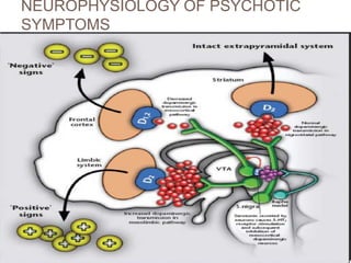NEUROPHYSIOLOGY OF PSYCHOTIC
SYMPTOMS
 