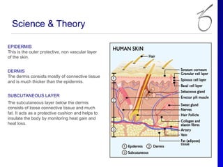 Science & Theory

EPIDERMIS
This is the outer protective, non vascular layer
of the skin.


DERMIS
The dermis consists mostly of connective tissue
and is much thicker than the epidermis.


SUBCUTANEOUS LAYER
The subcutaneous layer below the dermis
consists of loose connective tissue and much
fat. It acts as a protective cushion and helps to
insulate the body by monitoring heat gain and
heat loss.
 