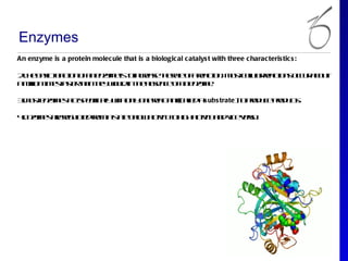 Enzymes
An enzyme is a protein molec ule that is a biologic al c atalys t with three c harac teris tic s :

2.h b s f cio o a e zm is oin rae h rt o a ecio . M s cll rat n o c r b u
 T e aic u t n f n ny e t ce s te ae f ra tn ot eu recio s c u a o t
          n                                            la
a il nt e f trh nte wu inte b e c o a e zm .
 ml im sa e ta h y o l h a sn e f n ny e
   io       s           d

3. ot ny e at p cic l who lo e e ca tclda ubs trate)t po u e rd cs
 M s e zm s c s e ifay it n n ra tn ( ae s
                     l     y           l            o rd c po u t.

4. ny e ae e u tdf ma tt o l atitt h hatita dv e es.
 E zm s r rg le r
              a   o s e f w civyo ig civy n ic vr
                      a    o                      a
 