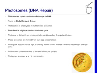 Photosomes (DNA Repair)
•   Photosomes repair sun-induced damage to DNA

•   Found in: Daily Renewal Crème

•   Photosomes is photolyase in multilamellar liposomes

•   Photolase is a light-activated marine enzyme

•   Photolase is derived from photosynthetic plankton called Anacystis nidulans

•   These liposomes are formed from pure egg phospholipids

•   Photolyase absorbs visible light to directly adhere to and reverse short UV wavelength damage
    (uvb)

•   Photosomes protect the cells of the skin’s immune system

•   Photsomes are used at a 1% concentration
 