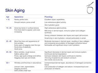 Skin Aging
Age       Appearance                              Physiology
< 15      Nearly perfect skin.                    Excellent repair capabilities.
          Smooth texture, pores small.            Low sebaceous gland activity.
                                                  Skin hydration good.
15 - 25   Acne key factor in surface texture.     High sebaceous gland activity.
          Fine lines start to appear, pore size   Mild drop in dermal repair, immune system and collagen
          increasing                              synthesis.
                                                  Strong cohesion between skin layers and rapid cell turnover.
                                                  Small drop in skin hydration, noticed particularly in winter.
25 - 45   More fine lines and appearance of       Moderate decrease in dermal repair, resulting in less collagen
          first wrinkles                          and increasing accumulation of damaged corrective tissue.
          Early signs of sagging near the eye.    Noticeable and significant drop in skin hydration.
          Some loss of elasticity.
          Adult acne.
45 - 55   More wrinkles, rough texture.           Significant decrease in dermal repair and immune system.
          Sallow yellow color                     Continued dermal degradation.
          Pores, age spots enlarge and define.    Cohesion between skin layers continues to decline.
          Sagging near eye and cheek.             Thinning of epidermis and stratum corneum.
                                                  Skin tends now to be dry.
55 +      Wrinkles and fine lines in abundance.   Compromised dermal repair, abundance of damaged connective
                                                  tissue.
          Uneven color, pigmentation.             Low production of collagen and sebum. Increased local over-
          Sagging worsens.                        production of melanin.
          Dark circles under eye.
 