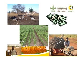 14
www.ccafs.cgiar.org;
r.zougmore@cgiar.org
 