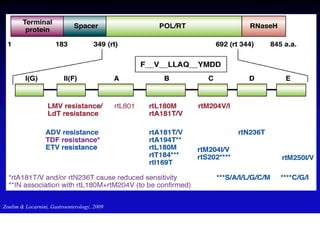 Zoulim & Locarnini, Gastroenterology, 2009
 