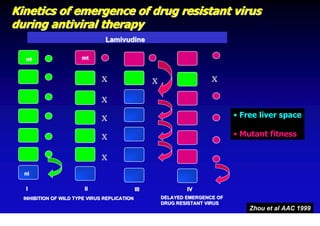 Kinetics of emergence of drug resistant virus
during antiviral therapy
                                Lamivudine

  wt                   mt


                              X                     X                   X

                              X

                              X                                                • Free liver space

                              X                                                • Mutant fitness

                              X
  ni

  I                     II                    III               IV
  INHIBITION OF WILD TYPE VIRUS REPLICATION             DELAYED EMERGENCE OF
                                                        DRUG RESISTANT VIRUS
                                                                                   Zhou et al AAC 1999
 