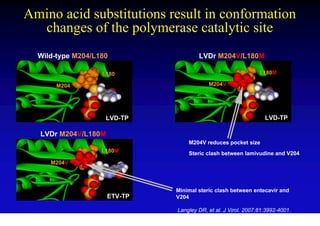 Amino acid substitutions result in conformation
  changes of the polymerase catalytic site
  Wild-type M204/L180                 LVDr M204V/L180M

                   L180                                        L180M

       M204                               M204V




                    LVD-TP                                       LVD-TP

  LVDr M204V/L180M
                                  M204V reduces pocket size
                   L180M          Steric clash between lamivudine and V204
     M204V




                              Minimal steric clash between entecavir and
                     ETV-TP   V204

                              Langley DR, et al. J Virol. 2007;81:3992-4001.
 