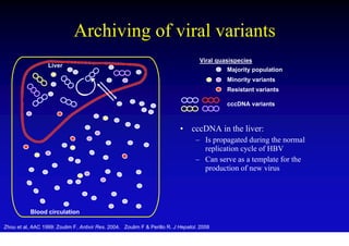 Archiving of viral variants
                                                                                   Viral quasispecies
                  Liver
                                                                                            Majority population
                                                                                            Minority variants
                                                                                            Resistant variants

                                                                                            cccDNA variants



                                                                           •    cccDNA in the liver:
                                                                                  – Is propagated during the normal
                                                                                    replication cycle of HBV
                                                                                  – Can serve as a template for the
                                                                                    production of new virus




           Blood circulation

Zhou et al, AAC 1999; Zoulim F. Antivir Res. 2004. Zoulim F & Perillo R. J Hepatol. 2008
 