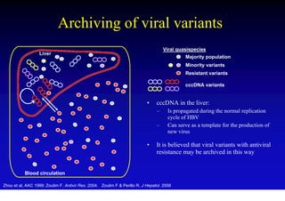 Archiving of viral variants
                                                                                    Viral quasispecies
                  Liver
                                                                                             Majority population
                                                                                             Minority variants
                                                                                             Resistant variants

                                                                                             cccDNA variants


                                                                           •    cccDNA in the liver:
                                                                                –     Is propagated during the normal replication
                                                                                      cycle of HBV
                                                                                –     Can serve as a template for the production of
                                                                                      new virus

                                                                           •    It is believed that viral variants with antiviral
                                                                                resistance may be archived in this way


           Blood circulation

Zhou et al, AAC 1999; Zoulim F. Antivir Res. 2004. Zoulim F & Perillo R. J Hepatol. 2008
 