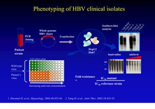 Phenotyping of HBV clinical isolates




                                                                                                           Cl ne A in
                                                                                                             o ra
                                                                                     Southern blot




                                                                                                           Cl e D
                                                                                                           Cl e C

                                                                                                                eE
                                                                                                           Cl A
                                                                                                           Cl b St

                                                                                                               e


                                                                                                             on
                                                                                                             on
                                                                                                             on
                                                                                                             on
                                                                                     analysis




                                                                                                            La
                             Whole genome
                             HBV clones
                PCR                            Transfection
                cloning


      Patient                                                            HepG2
      serum                                                              Huh7
                                                                                              lamivudine      adefovir
                   Cell culture plate
                                                                                       RC
                                                                                       -
   Wild-type
   virus                                                                               SS -


   Patient’s
                                                              Fold resistance
   virus                                                                          IC50 mutant
                                                              =
                                                                             IC50 reference strain
                   Increasing antiviral concentration



1. Durantel D, et al., Hepatology, 2004;40:855-64. 2. Yang H, et al., Antiv Ther, 2005;10:625-33.
 